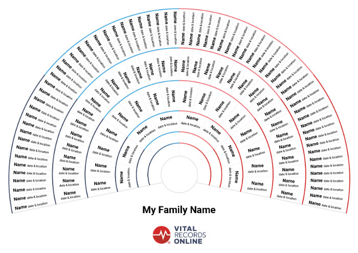 fan chart family tree